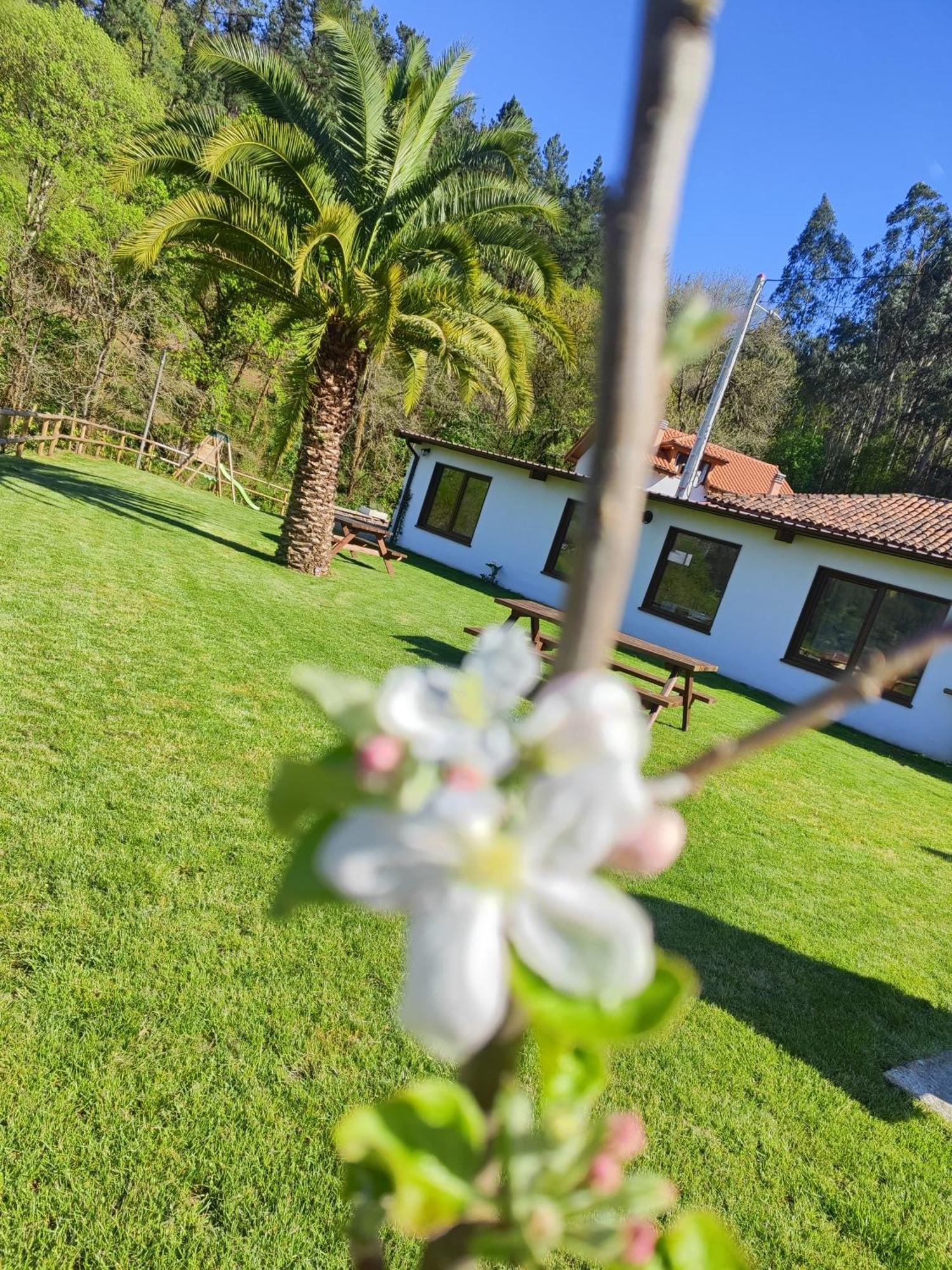 Candamin Reguero Gato Turismo Rural מראה חיצוני תמונה